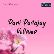 Pani Padajay Vellama