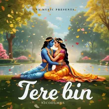 Tere Bin ( from "STRANGERS")