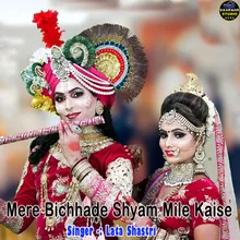 Mere Bichhade Shyam Mile Kaise