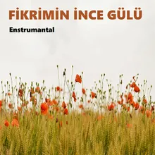 Fikrimin İnce Gülü Enstrumantal