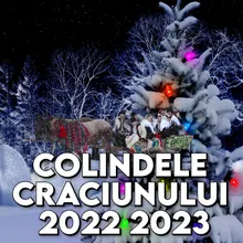 Colindele Craciunului 2022 2023