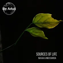 Sources of Life Bjorn Salvador & Cold Tones Remix