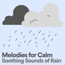 Melodies for Calm Soothing Sounds of Rain, Pt. 13