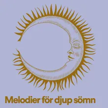 Melodier för djup sömn, Pt. 20