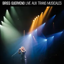 Ar spilhenn Live aux Transmusicales