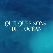 Quelques sons de l'océan, pt. 7