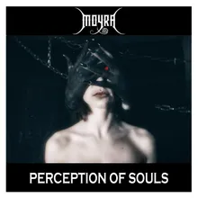 Perception of Souls