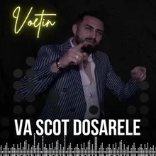 Va scot dosarele