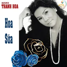 Hoa Sữa