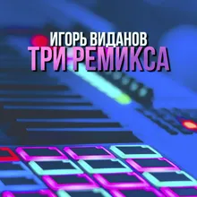 Валенки Remix