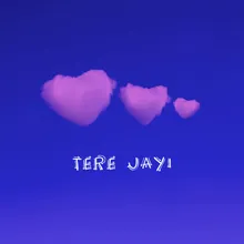 Tere Jayi