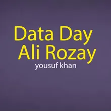 Data Day Ali Rozay