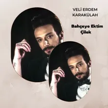 Bahçeye Ektim Çilek