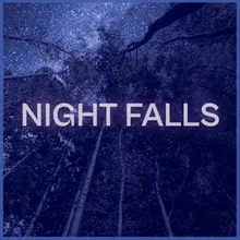 Night Falls Instrumental