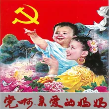 各族人民心向党