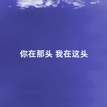 你在那头 我在这头