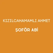 Şoför Abi