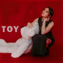 Toy