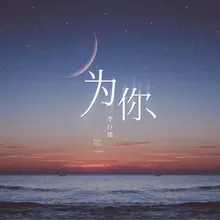 为你 特别版, 伴奏