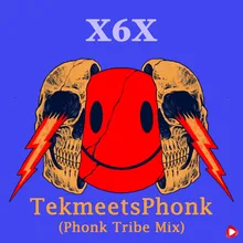 TekmeetsPhonk Phonk Tribe Mix