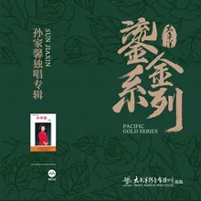 当我十七岁的时候