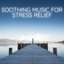 Tranquil Tunes Music for Relaxation and Unwinding