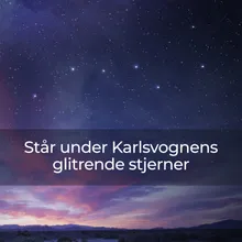 Står under Karlsvognens glitrende stjerner