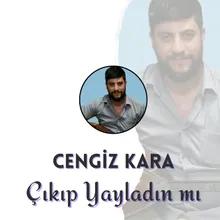 Çıkıp Yayladın mı