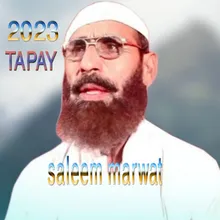 Nan Saba Khkoley Ghazal Tapay