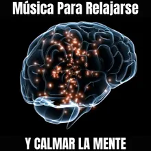 Para La Salud Mental