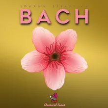 Partita in E Minor, BWV 830: V, Sarabande
