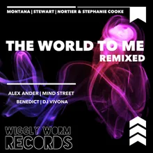 The World to Me Alex Ander's Soulful Bliss Mix