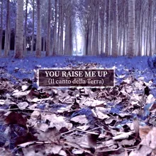 You Raise Me Up (Il canto della Terra) Radio Edit