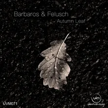 Autumn Leaf Barbaros Remix