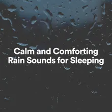 Soft Rain Sounds, Pt. 20