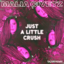 Just A Little Crush Tazer Remix