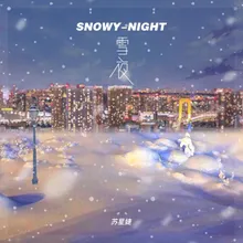 雪夜 DJ版