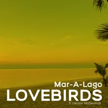 Mar-A-Lago Sunset Theme