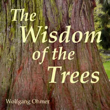 The Wisdom of the Trees