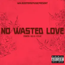 No Wasted Love