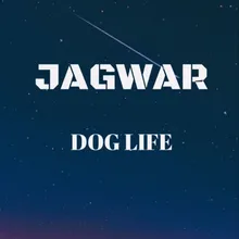 DOG LIFE