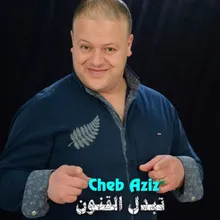 تبدل القنون