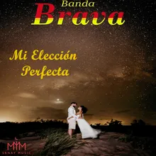 Mi Eleccion Perfecta