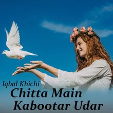 Chitta Main Kabootar Udar