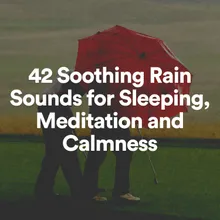 Gentle Nature Soothing Sounds of Rain, Pt. 2