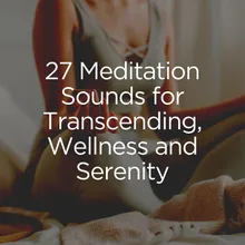 Meditation music for Sleep, Pt. 4