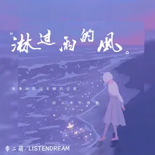 淋过雨的风