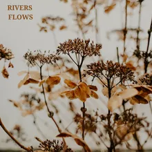 Rivers Flows