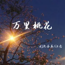 万里桃花