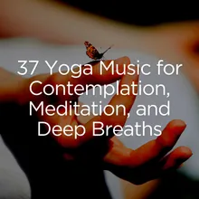 Zen Music for Yoga Sessions, Pt. 1